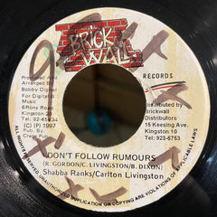 CARLTON LIVINGSTON & SHABBA RANKS [Don't Follow Rumours]
