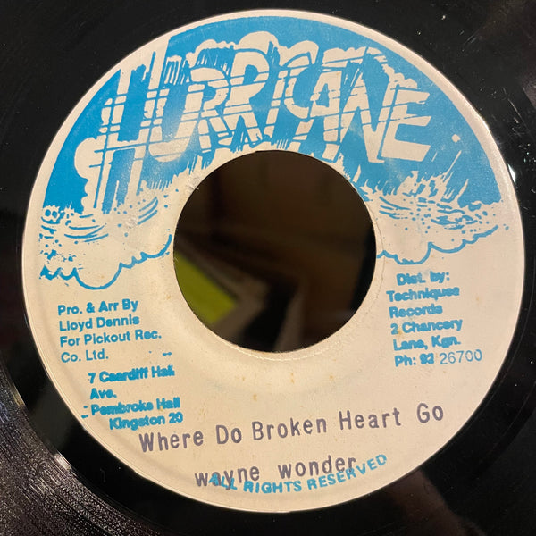 WAYNE WONDER [Where Do Broken Heart Go]