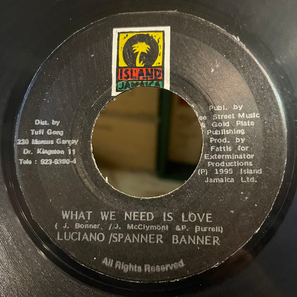 LUCIANO & SPANNER BANNER [What We Need Is Love]