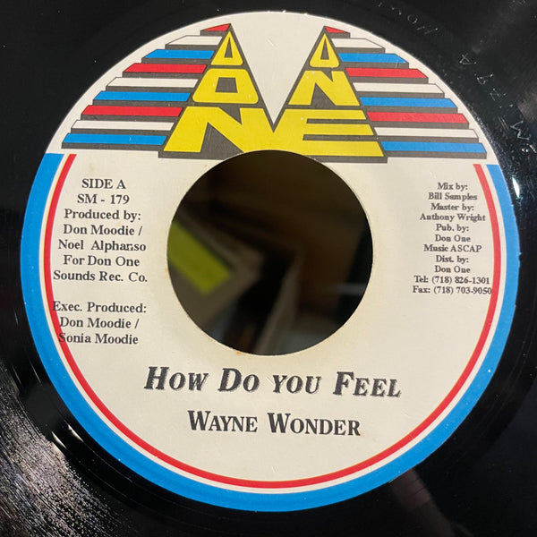 WAYNE WONDER [How Do You Feel]