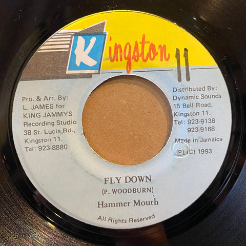 HAMMER MOUTH [Fly Down]