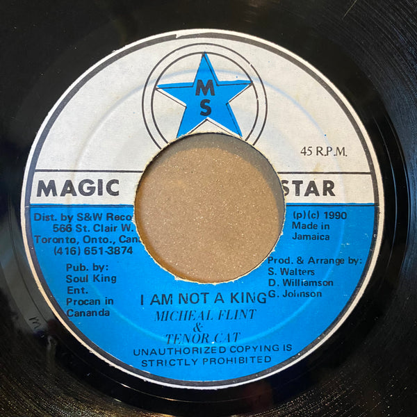 MICHAEL FLINT & TENOR CAT [I Am Not A King]