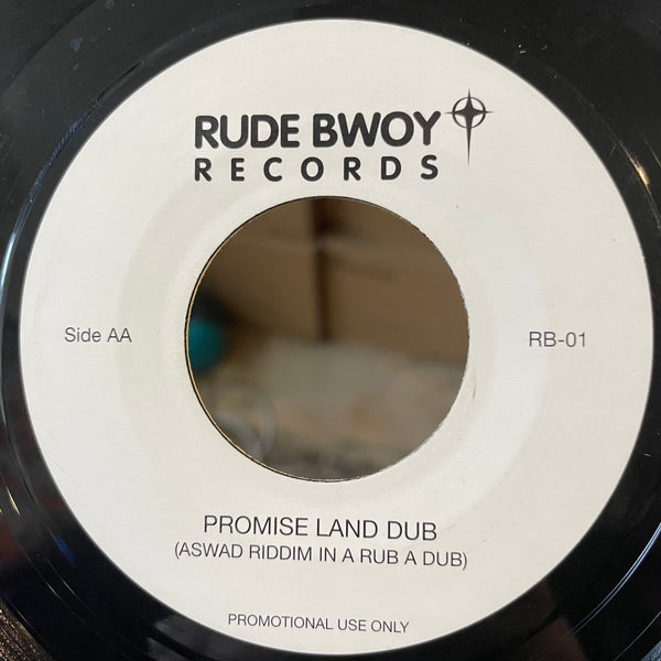 DENNIS BROWN, DAMIAN MARLEY, NAS  [Promise Land ]