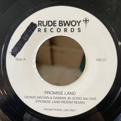 DENNIS BROWN, DAMIAN MARLEY, NAS  [Promise Land ]