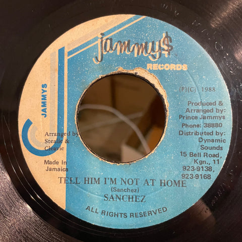 SANCHEZ [Tell Him I'm Not At Home]