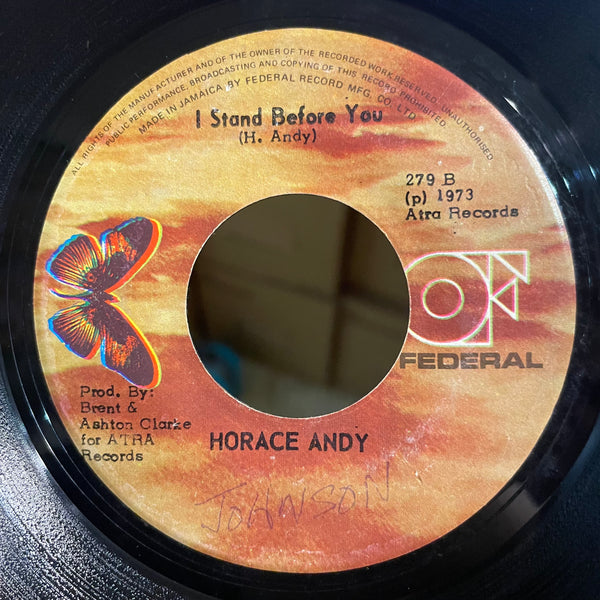 HORACE ANDY [Unity,Love & Straighth / I Stand Before You]