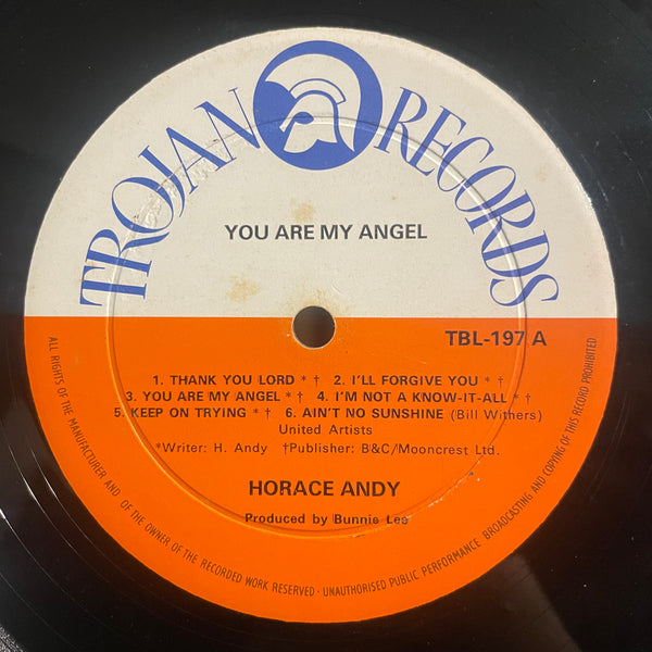 HORACE ANDY [You Are My Angel]
