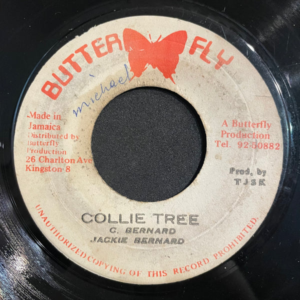 JACKIE BERNARD [Collie Tree]