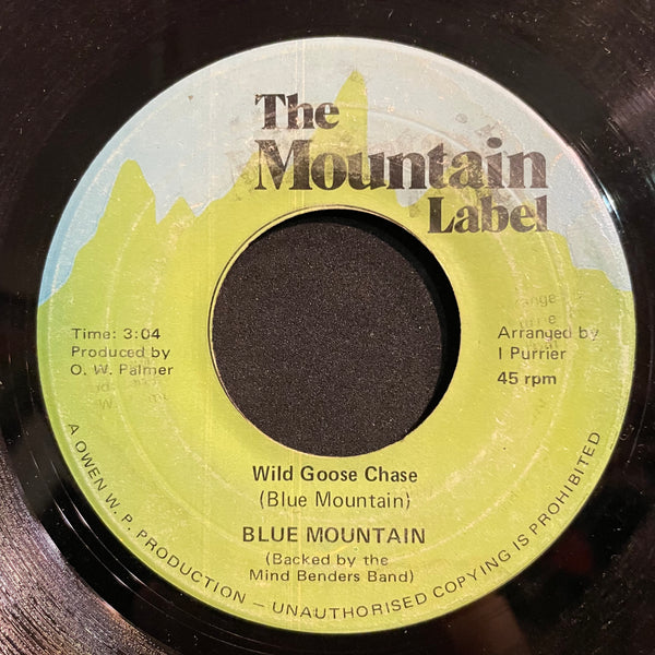 BLUE MOUNTAIN [Wild Goose Chase]