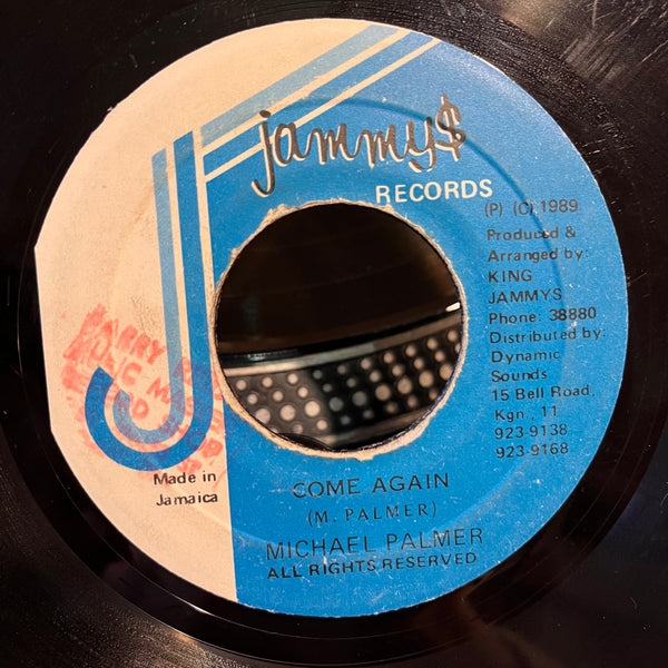 MICHAEL PALMER [Come Again]