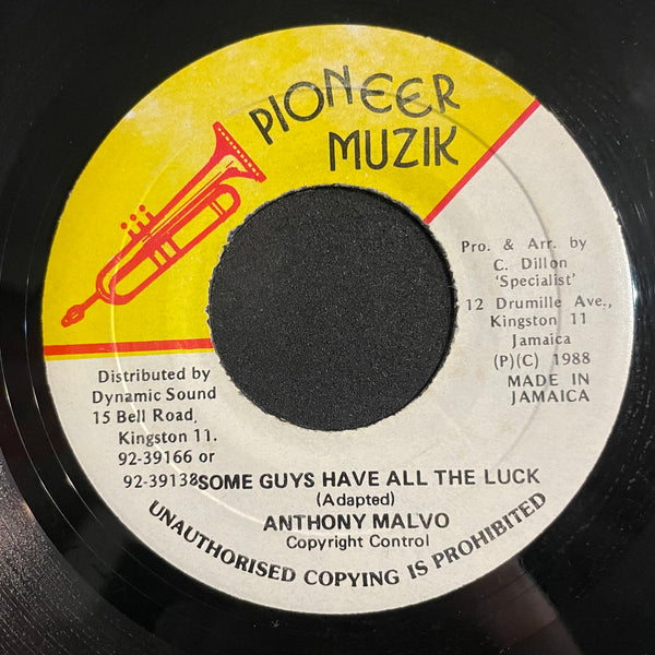ANTHONY MALVO [Some Guys Have All The Luck]