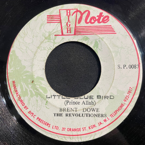 BRENT DOWE [Little Blue Bird]