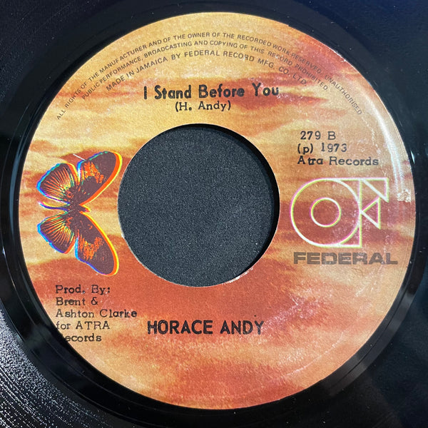 HORACE ANDY [Unity,Love & Straighth / I Stand Before You]