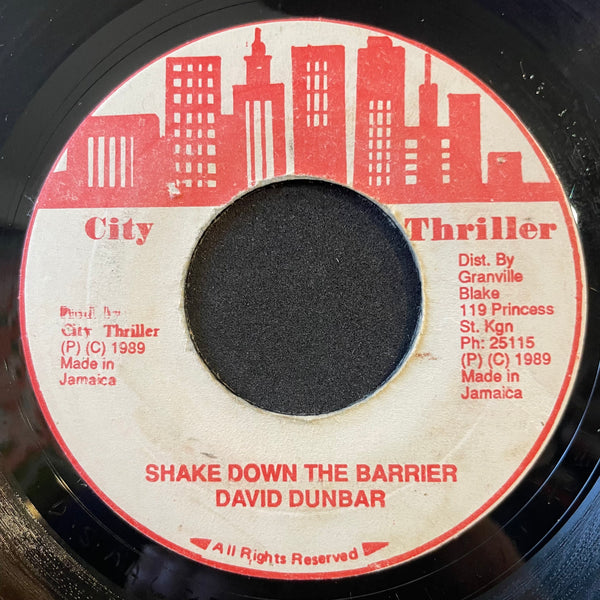 DAVID DUNBER [Shake Down The Barrier]