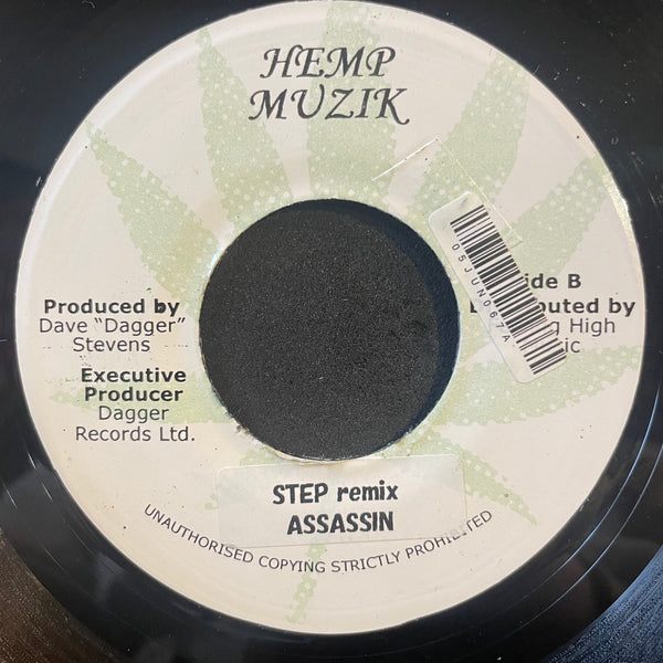 DAMIAN "JR GONG" MARLEY / ASSASSIN [Welcome To Jam Rock Remix / Step Remix]