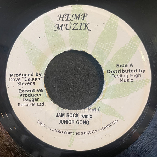 DAMIAN "JR GONG" MARLEY / ASSASSIN [Welcome To Jam Rock Remix / Step Remix]