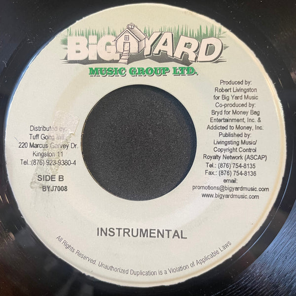 SHAGGY / MAXI PRIEST / T.O.K. / ICE MAN [We Like To Party]