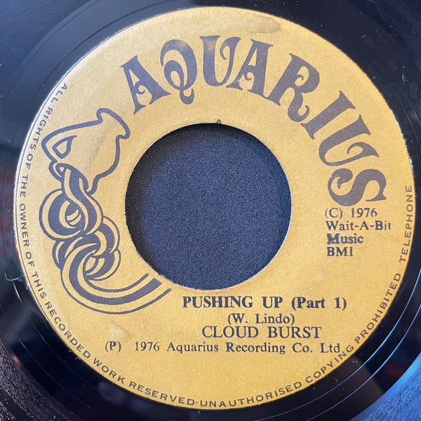 CLOUD BUST / D. CLARKE [Pushing Up / So Much I Want To Say]