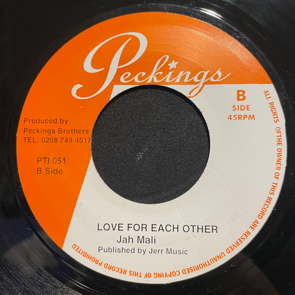 GAPPY RANKS / JAH MALI [Mountain Top / Love For Each Other]