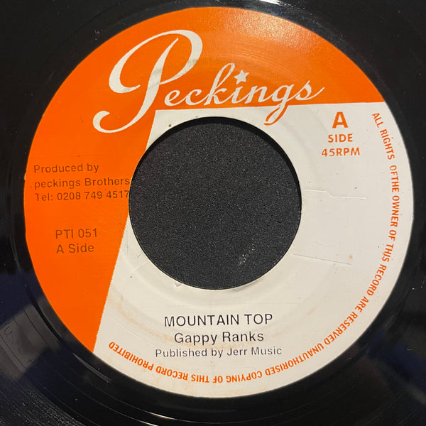 GAPPY RANKS / JAH MALI [Mountain Top / Love For Each Other]