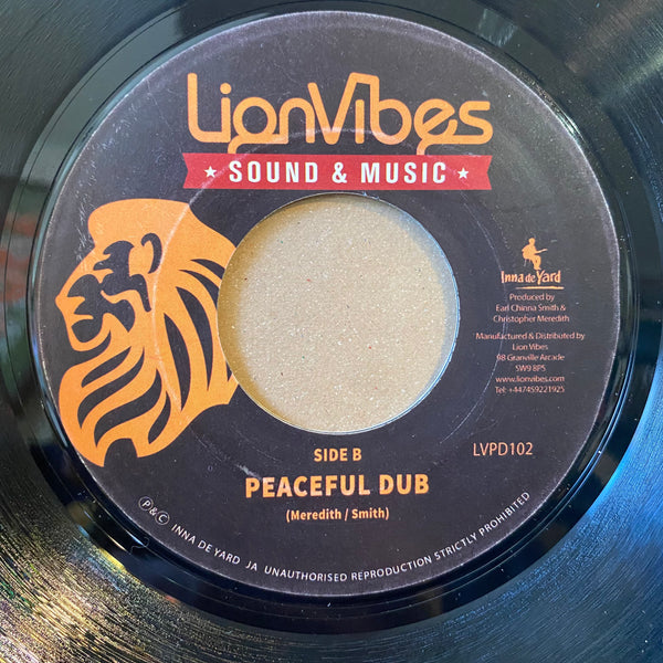 RICHIE LOOP [Own Enemy / Peaceful Dub]