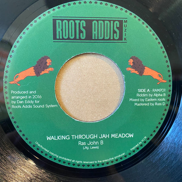 RAS JOHN B [Walking Through Jah Medow]