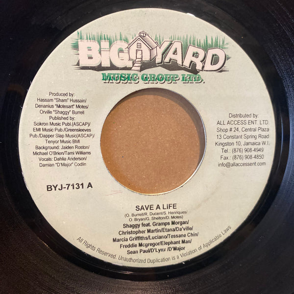 SHAGGY FEAT. GRAMPS MORGAN, CHRISTOPHER MARTIN, ETANA, DA'VILLE, MARCIA GRIFFITHS, LUCIANO, TESSANNE CHIN, FREDDIE MCGREGOR, SEAN PAUL, ELEPHANT MAN, D MAJOR [Save A Life]