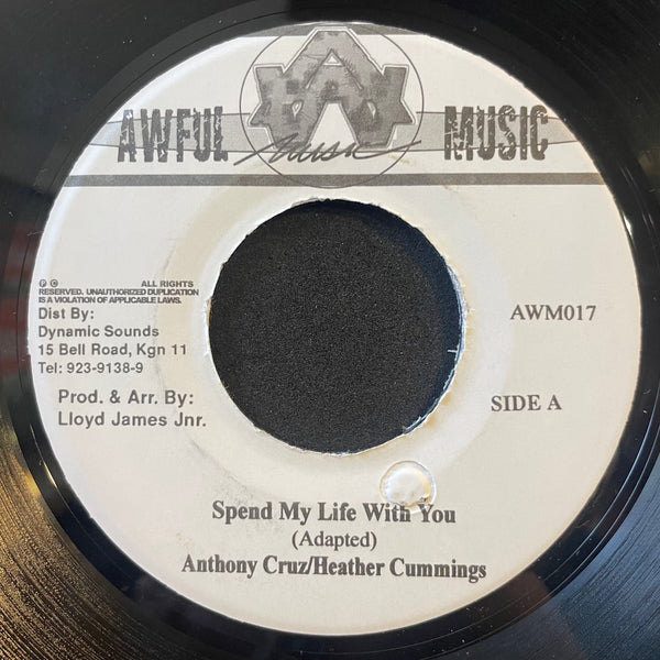 ANTHONY CRUZ & HEATHER CUMMINGS  [Spend My Life With You]