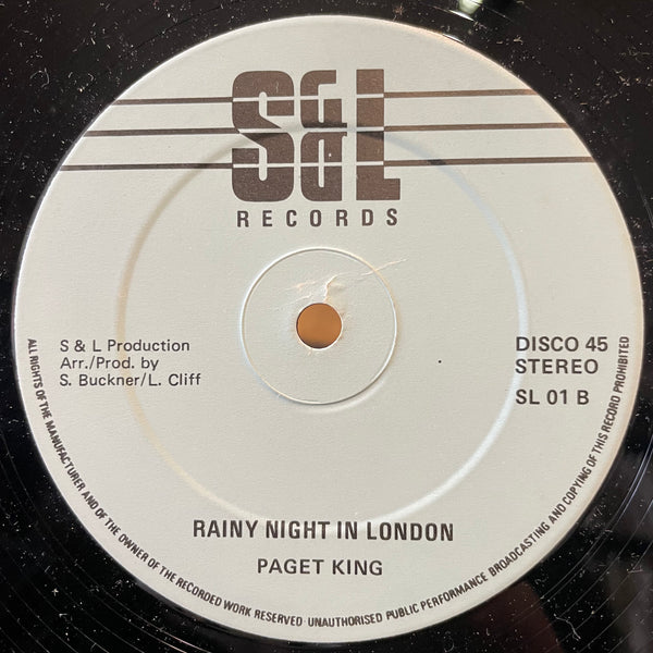 THERESA PALMA [Rainy Night In Georgia]
