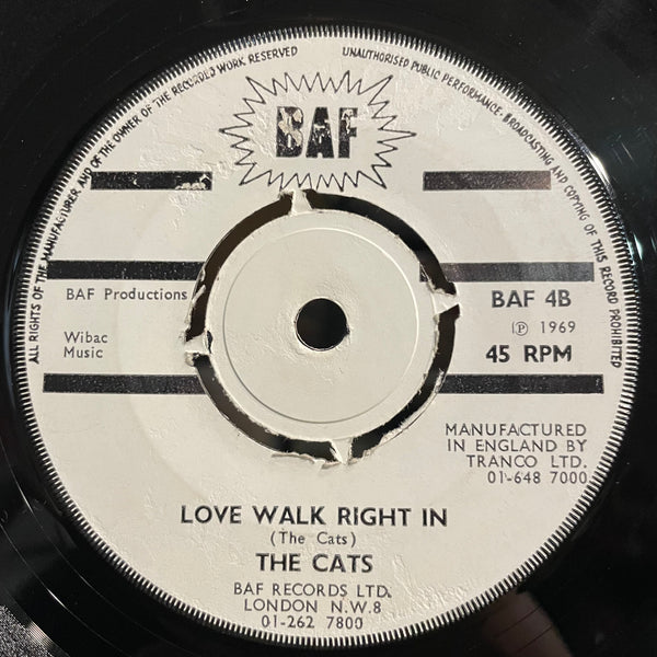 THE CATS [William Tell / Love Walk Right In]