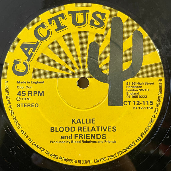 ALBERT MALAWI WITH BLOOD RELATIVES & FRIENDS / BLOOD RELATIVES & FRIENDS [A Lonely Walk / Kallie]