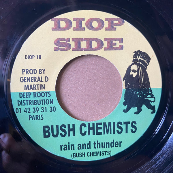 KING KONG / BUSH CHEMISTS [This Train / Rain And Thunder]