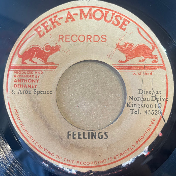 DOUGLAS BOOTHE [Feeling Comes & Goes]