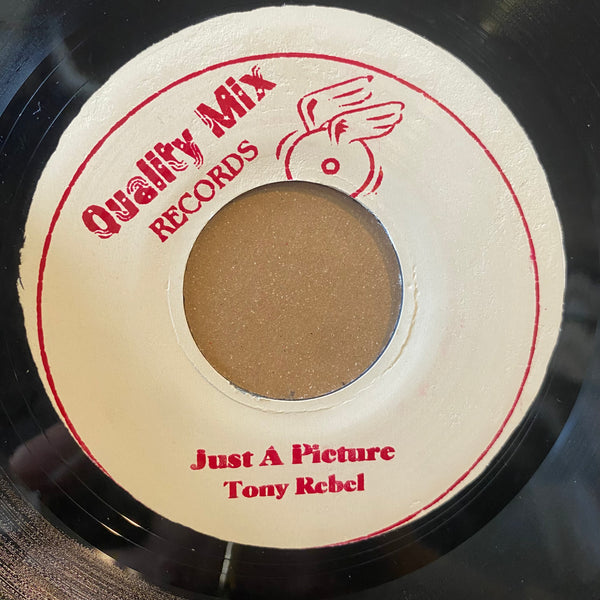 TONY REBEL / SIZZLA [Just A Picture / Never Wanna Heard A Dem]
