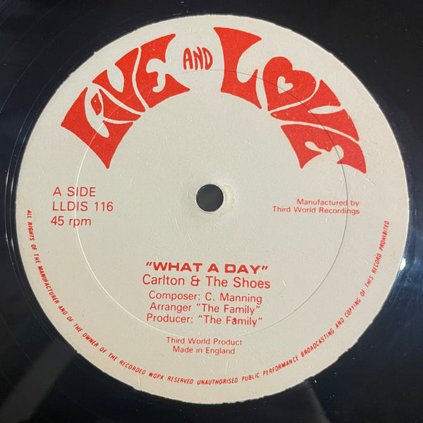 CARLTON & THE SHOES [What A Day]