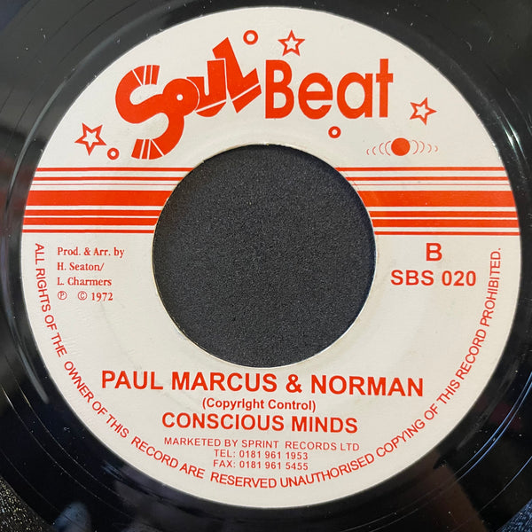 CONSCIOUS MINDS [Africa Is Paradise / Paul Marcus & Norman]