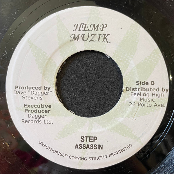 DAMIAN "JR GONG" MARLEY / ASSASSIN [Welcome To Jam Rock Remix / Step Remix]