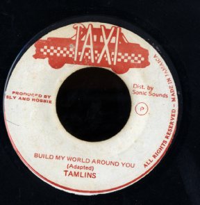 TAMLINS [Build My World Around You ]