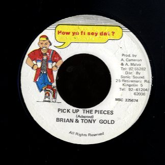 BRIAN & TONY GOLD [Pick Up The Pieces]