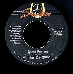 JUNIOR DELGADO [Nine Fence]