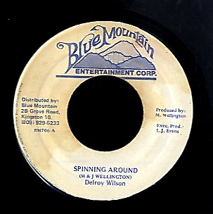 DELROY WILSON [Spinning Around]