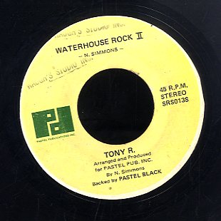 TONY R [Gully Bank Rock / Waterhouse Rock 2]