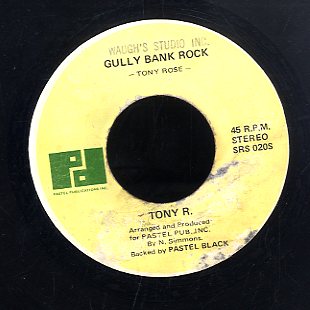 TONY R [Gully Bank Rock / Waterhouse Rock 2]