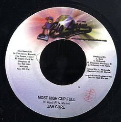 JAH CURE [Most High Cup Full]