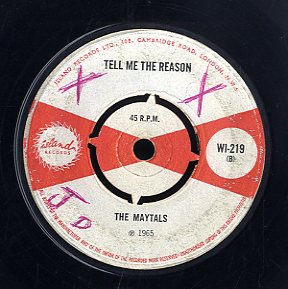 THE MAYTALS [Tell Me The Reason / Wide A Wake Dream]