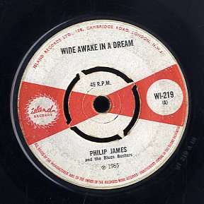 THE MAYTALS [Tell Me The Reason / Wide A Wake Dream]