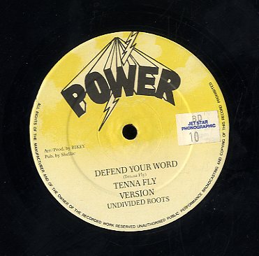 TENNA FLY / RICHIE DAVIS [Defend Your Word / Jah Army]