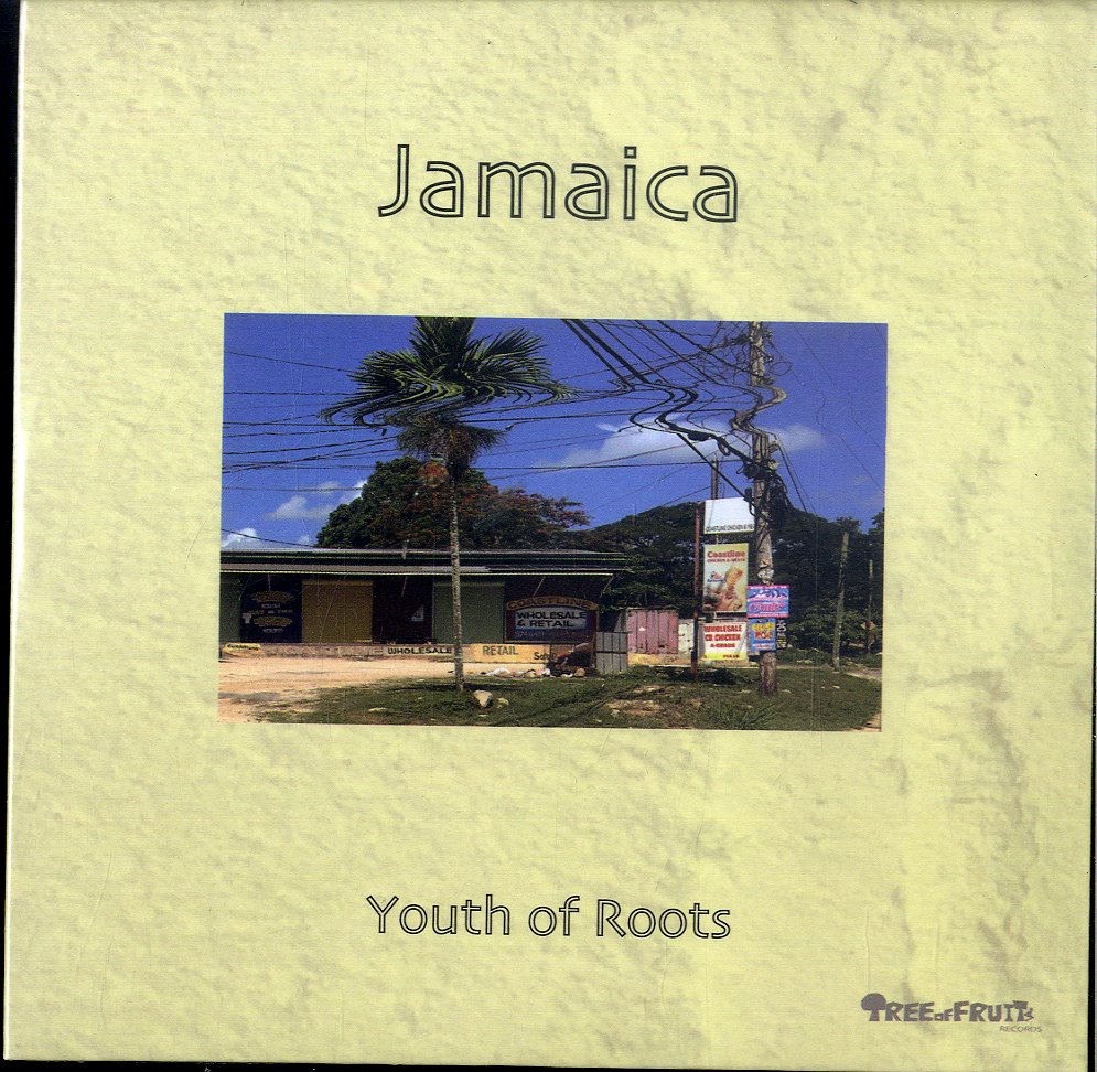 YOUTH OF ROOTS [Jamaica Feat Rudebwoy Face]
