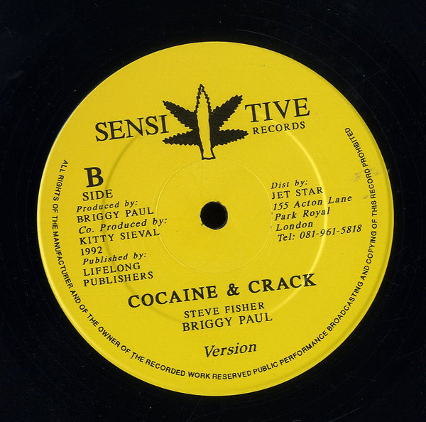 BRIGGY PAUL [Nuh Teck It Up / Cocaine & Crack]