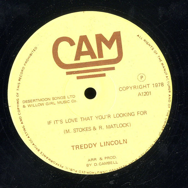 TEDDY LINCOLN [If It's Love That You'r Looking For]